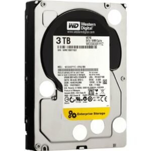 WD3000FYYZ